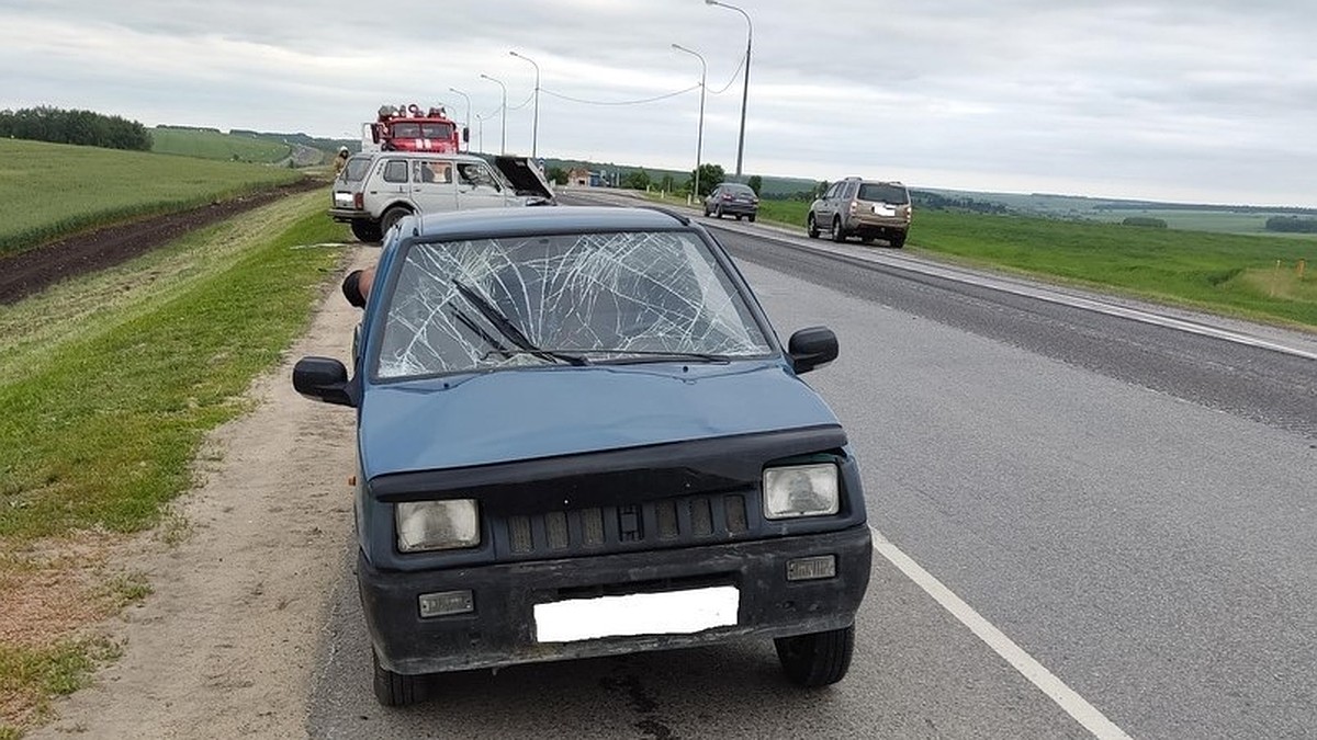 В Орловской области водитель, врезавшийся в стоящий на обочине автомобиль,  скрылся с места происшествия - KP.RU