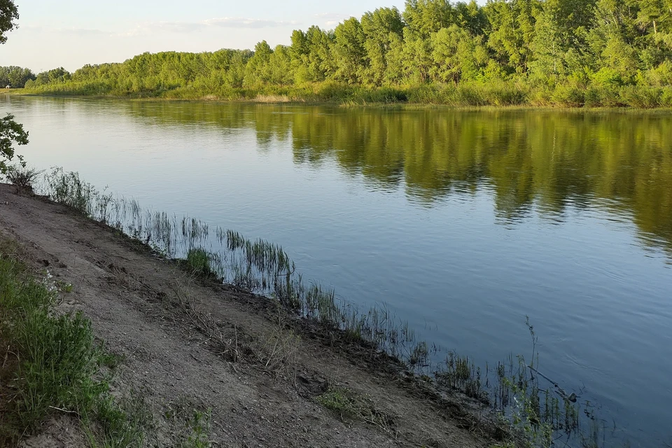 В ведомстве отметили, что с начала года в области на водных объектах погибло уже 14 человек.