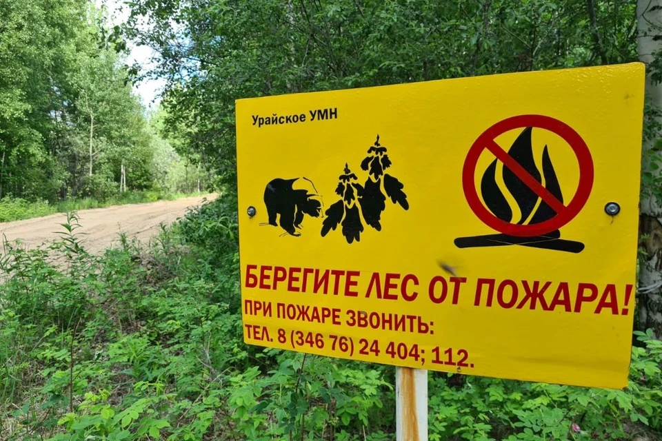 В Югре тушат 2 лесных пожара