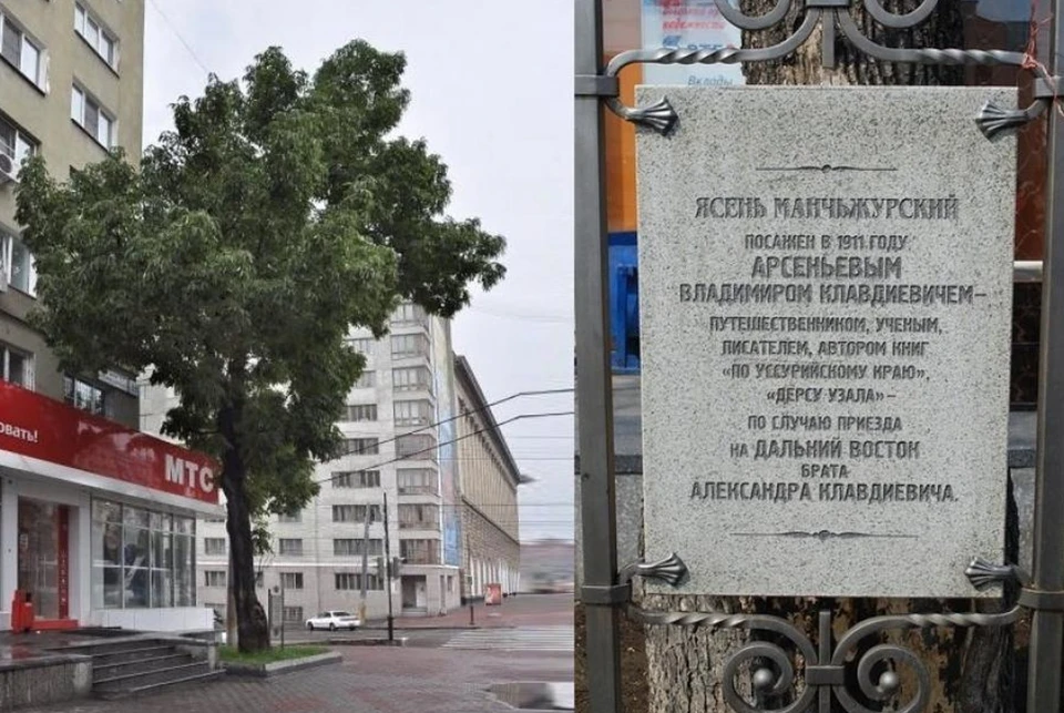 Хабаровск граждан проект