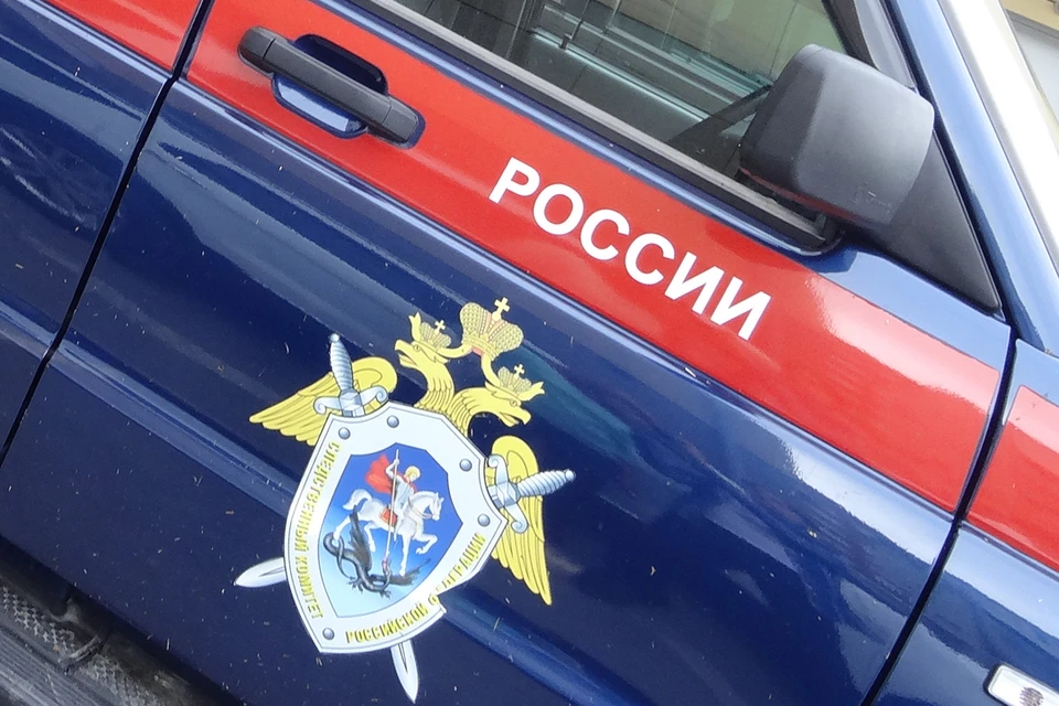 Глава СК РФ Бастрыкин поставил на контроль дело о неоказании помощи неизлечимо больной девушки в Мегионе