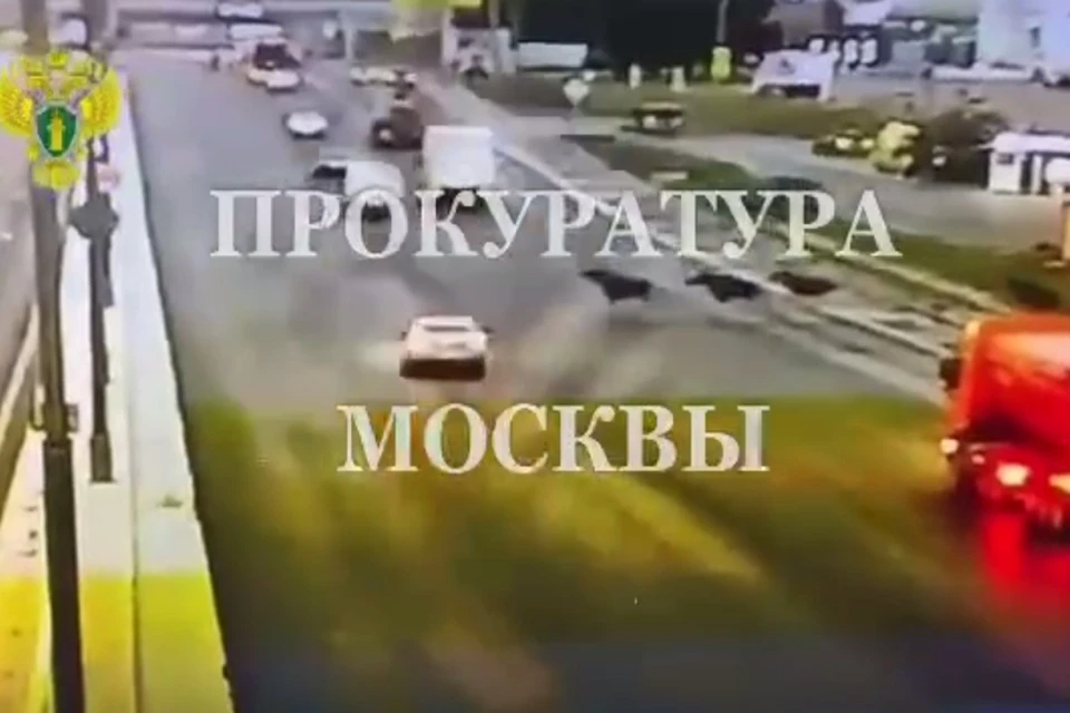 Второй мкад в москве проект Два лося погибли после столкновения с автомобилем на МКАД в Москве - KP.RU