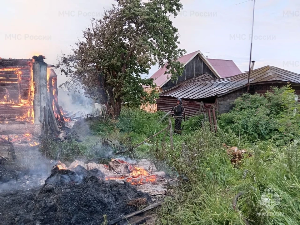 Фото: ГУ МЧС России по Владимирской области