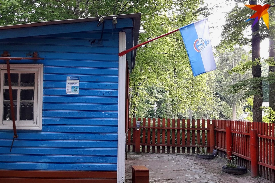 Лукашенко подписал Указ, определяющий деятельность ОСВОД. Фото: архив «КП»