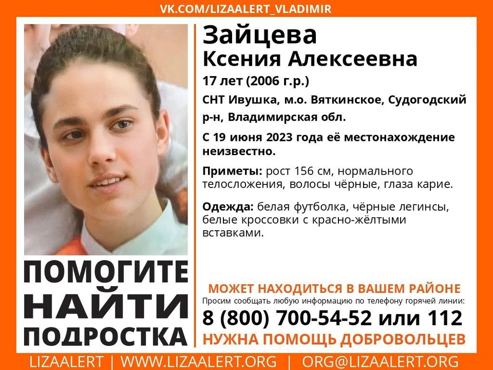 ориентировка из группы отряда "ЛизаАлерт" Владимирской области