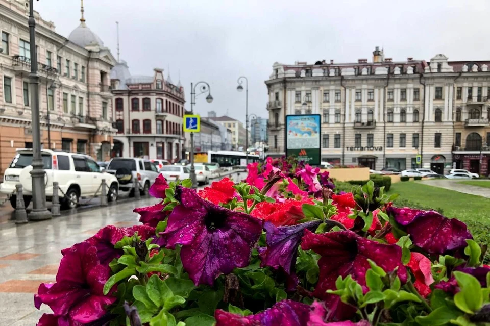 К середине недели с юго-запада на край выйдет новый циклон.