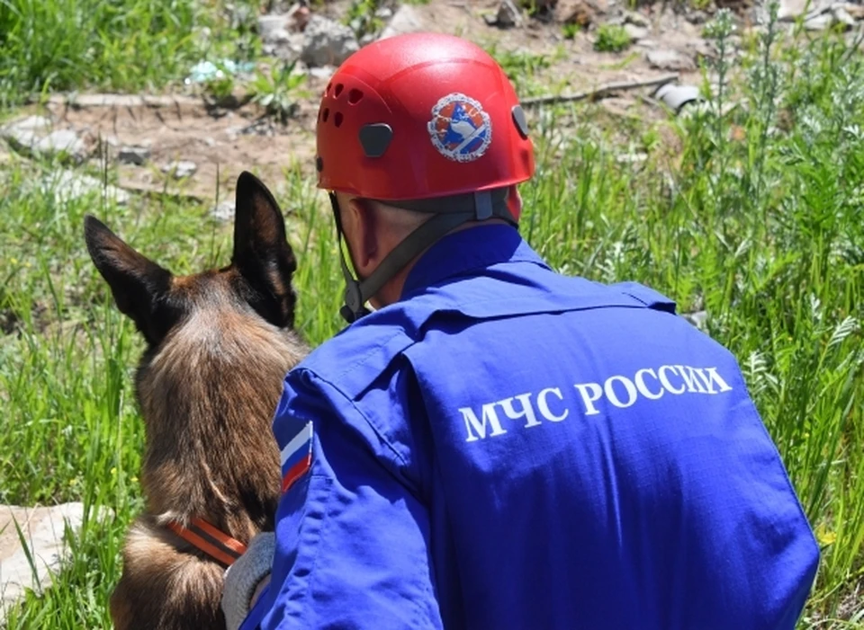 Иллюстрация из архива.