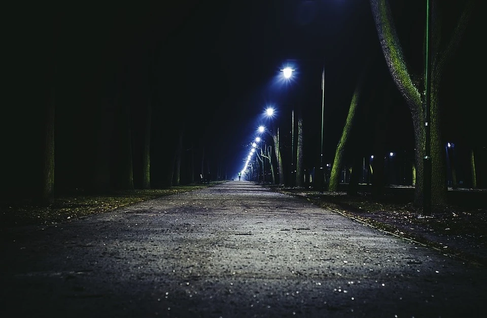 Фото: Pixabay.