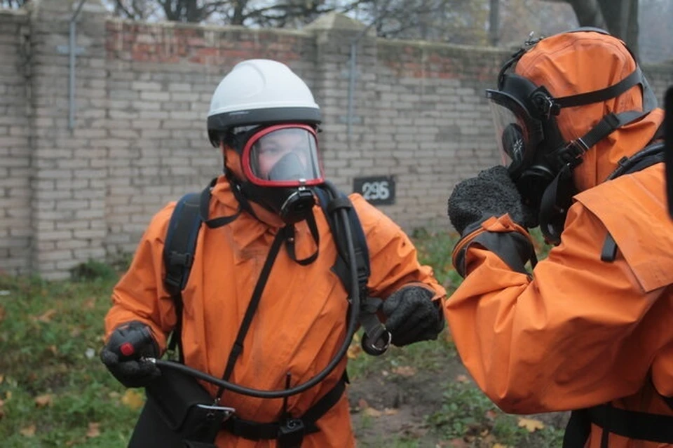 Фото носит иллюстративный характер