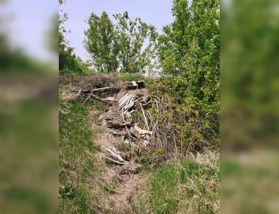 Свалки были обнаружены в Исаклинском районе