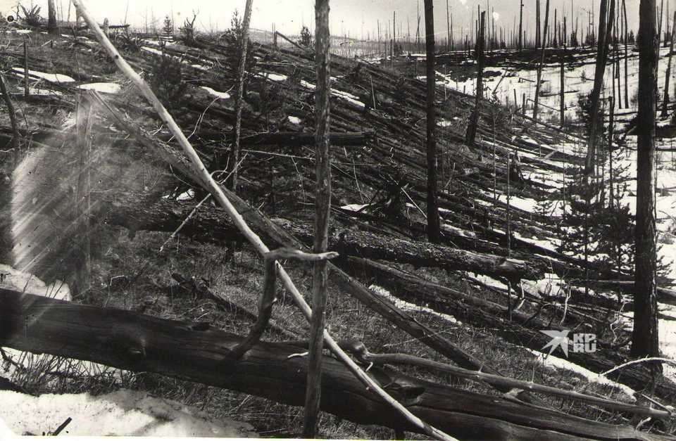 Взрывом в сибирской тайге повалило тысячи деревьев Фото: из фондов МБУ «Эвенкийский краеведческий музей»
