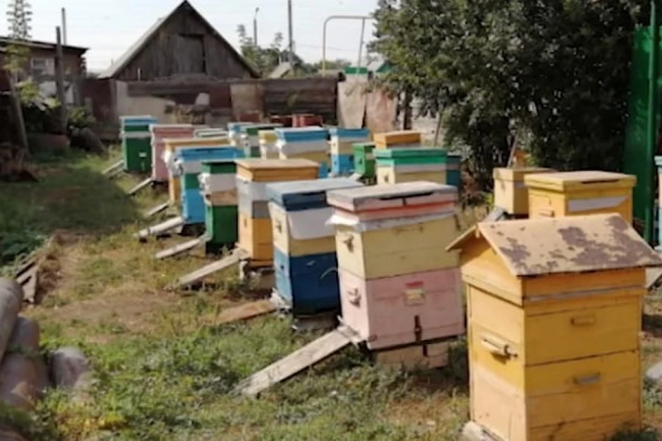 200 кг сладкого продукта предадут российским военнослужащим и мирным жителям Донецкой и Луганской народных республик.