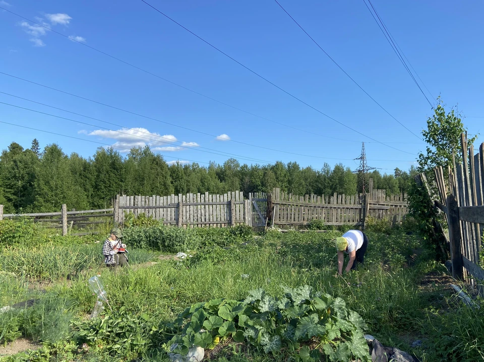 Ограничения продлятся с 9 утра до 8 вечера.