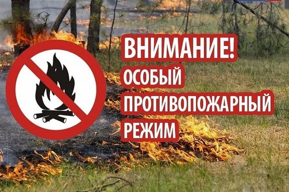 Фото: мэрия Якутска