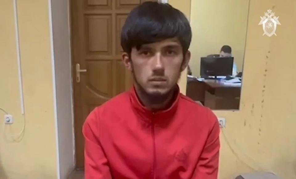Сегодня предполагаемому убийце изберут меру пресечения на время следствия