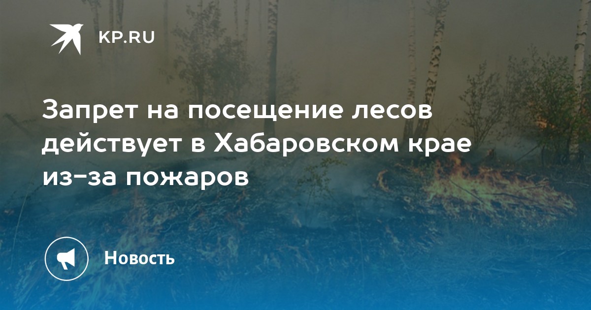 Карта лесных пожаров хабаровский край