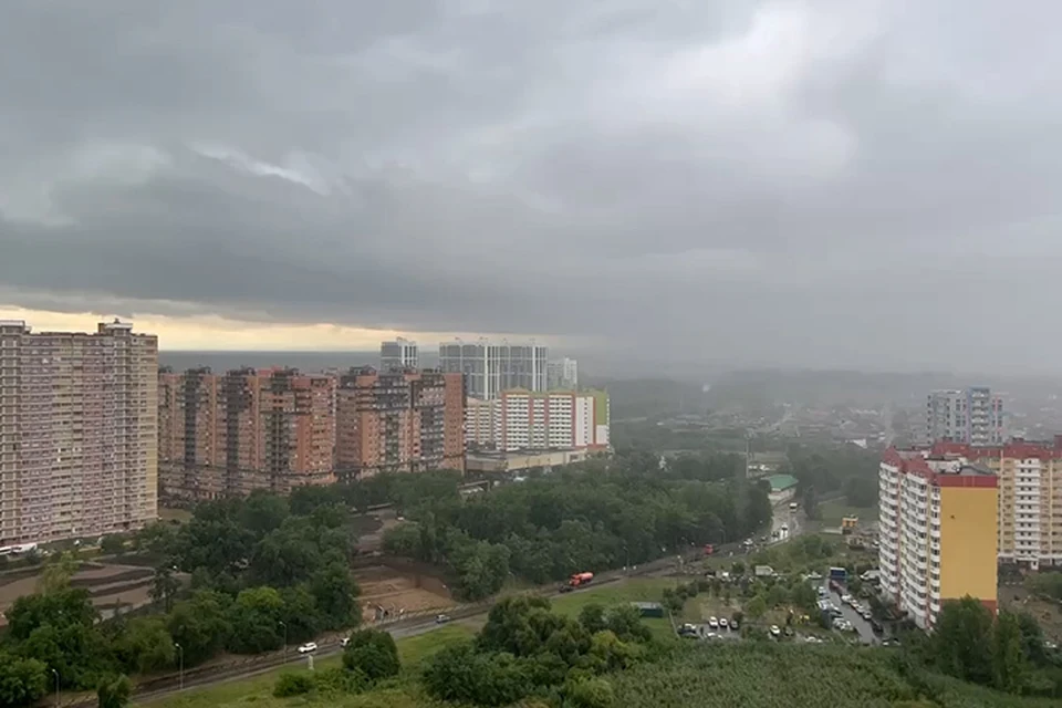 Фото: скриншот видео