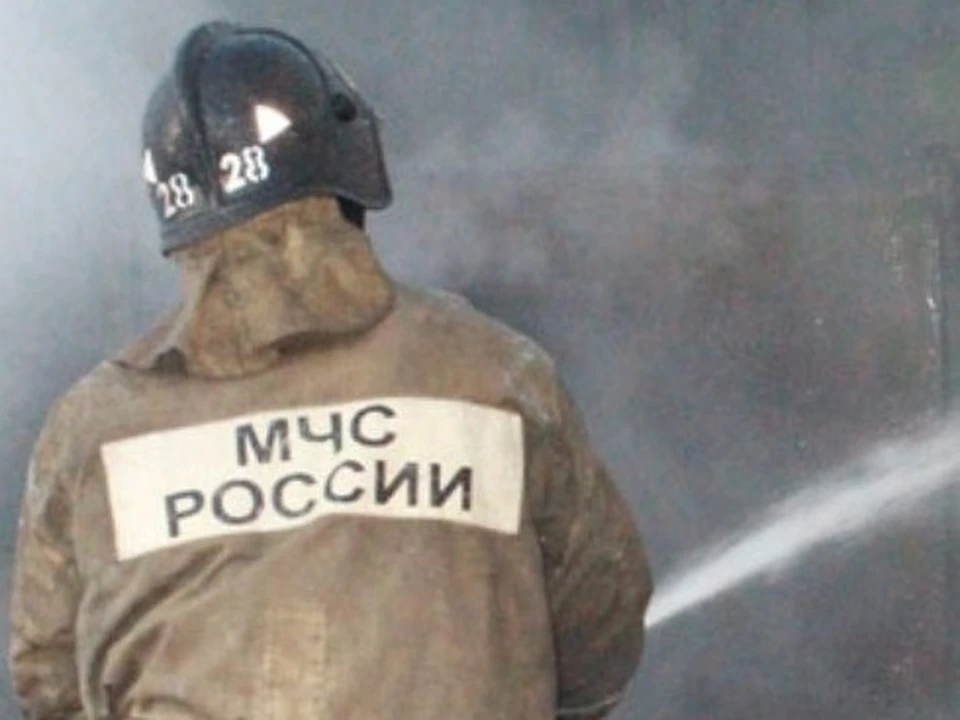 Мужчина получил ожоги рук во время пожара в Хабаровском крае Фото: МЧС Хабаровского края