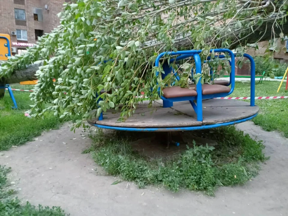 Дерево рухнуло на ребенка прямо на детской площадке, мальчик получил травмы. Фото: СУ СК по Самарской области