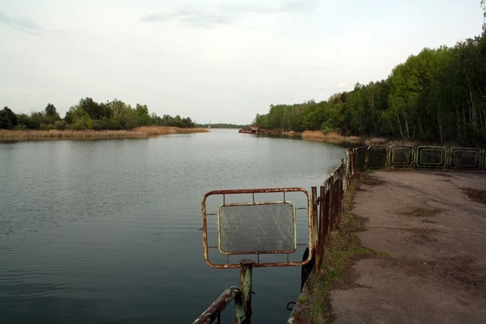 Останки нашли на берегу реки возле одного из донских хуторов.