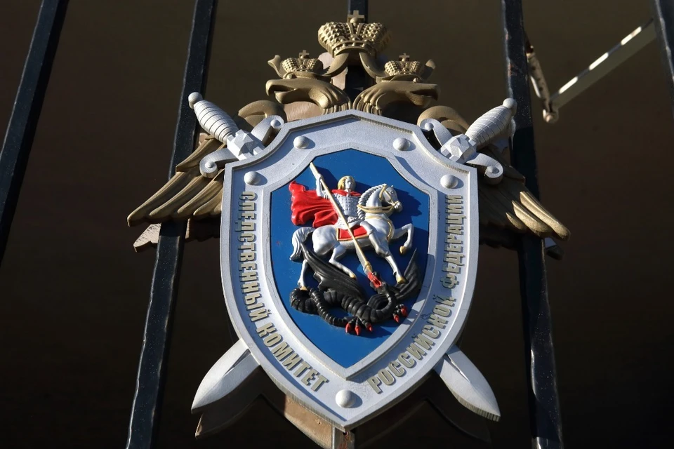 Следственный комитет показал видео предсмертной пробежки Ржицкого