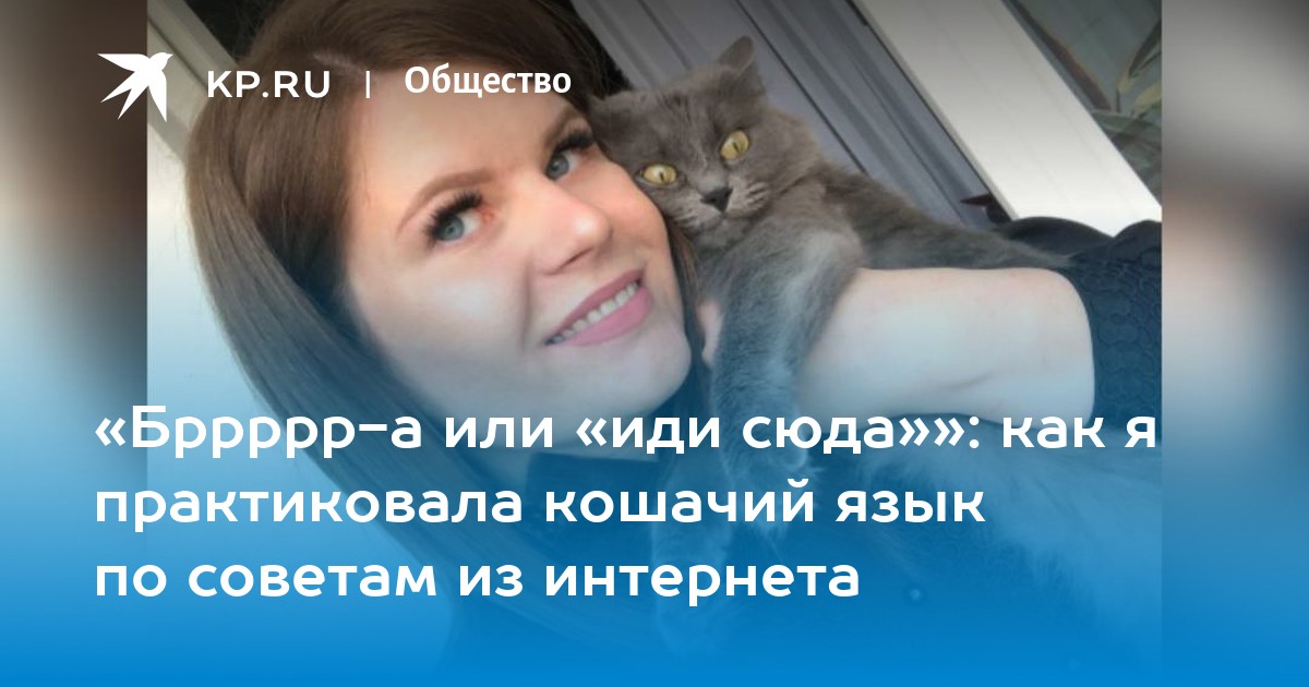 Бррррр-а или «иди сюда»»: как я практиковала кошачий язык по советам из  интернета - KP.RU