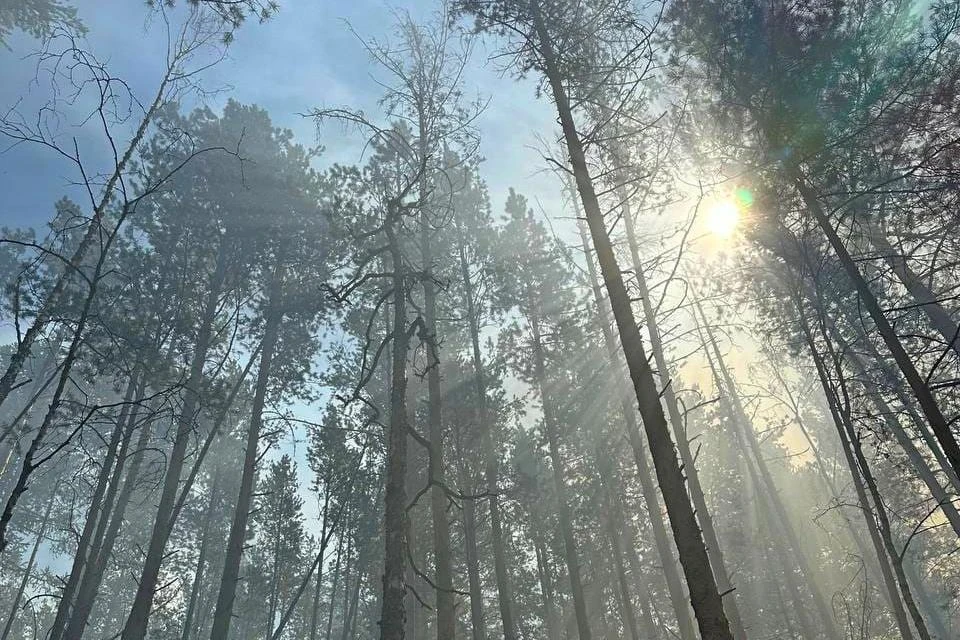 Фото: МЧС Башкирии
