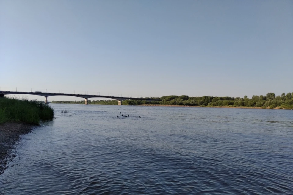 Кировчанам не рекомендуют купаться в реке у муниципального пляжа.