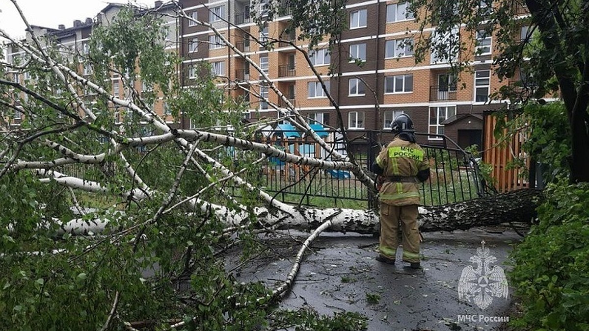 В татарстанском городе Агрыз из-за урагана ввели режим ЧС - KP.RU