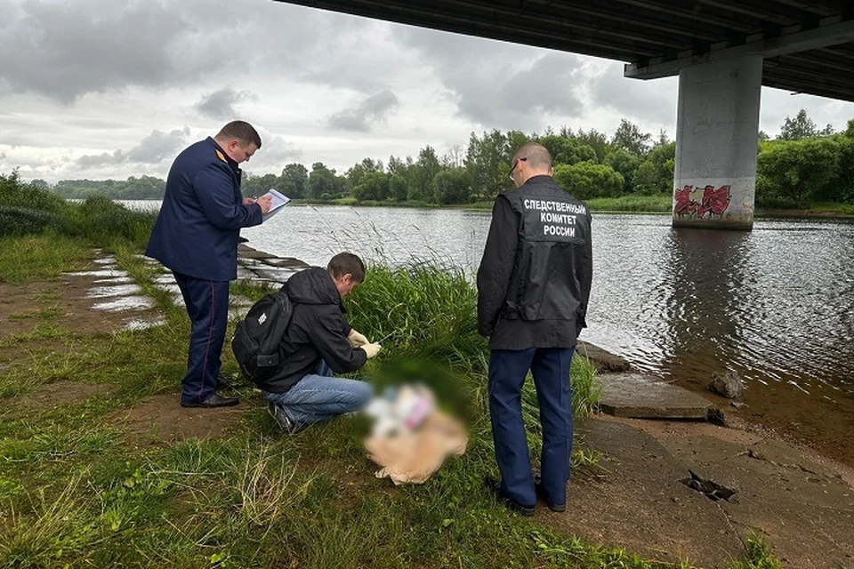 В реке Которосль в Ярославле найдено тело 10-месячной девочки.