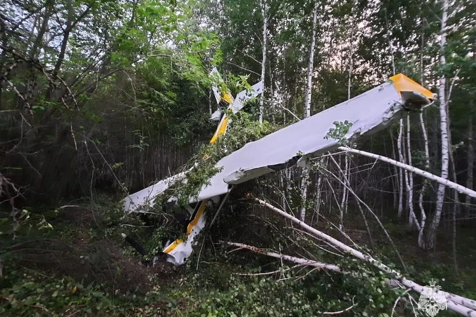 Cessna-172 приземлился на деревья. Фото: ГУ МЧС России по Новосибирской области