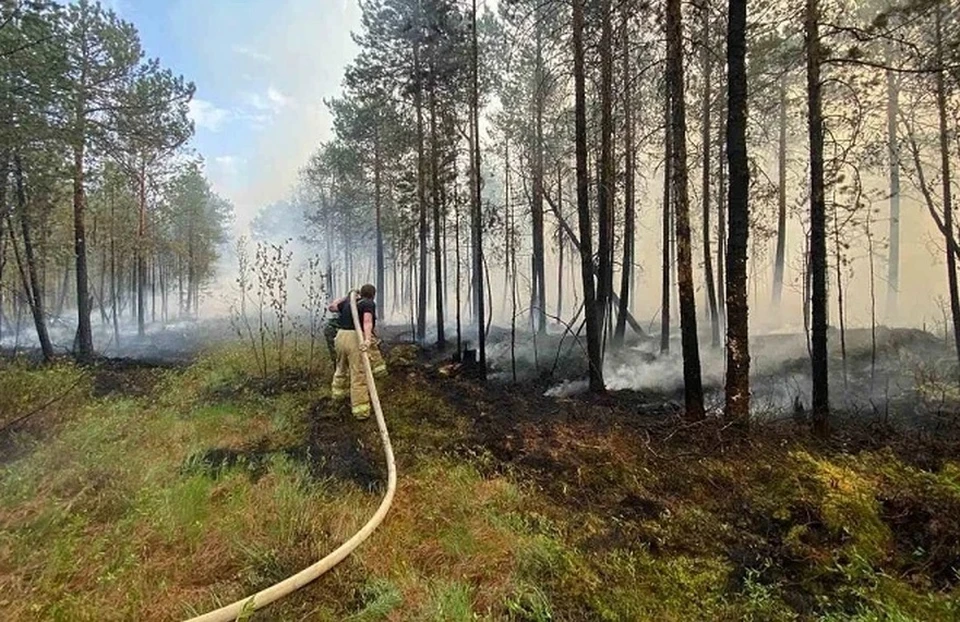 Фото: телеграм-канал Натальи Комаровой