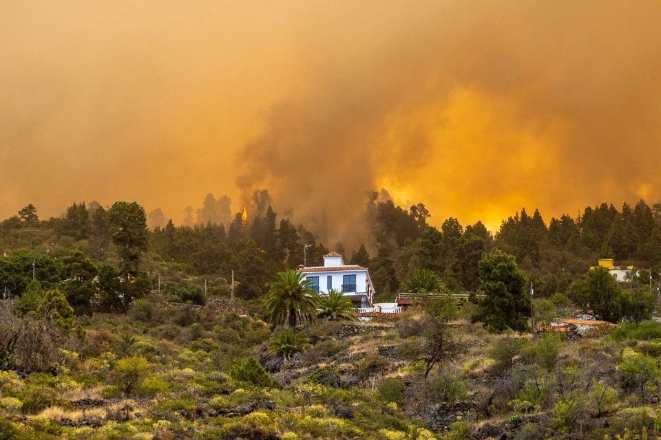 На Канарах из-за лесного пожара эвакуировали тысячи людей