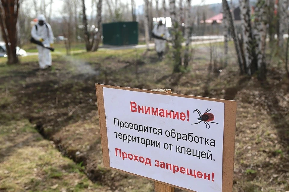 Иммунолог Крючков: на боррелиоз после укуса клеща укажет слабость и температура