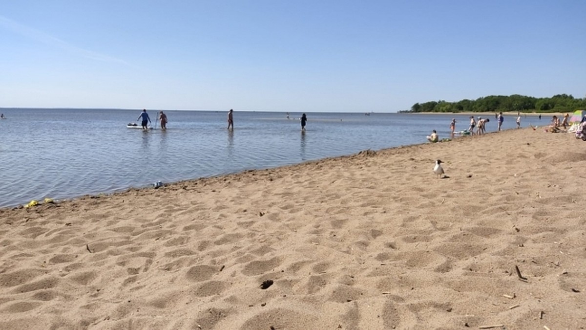 Облил водой, а потом ударил»: жительница Новосибирска пожаловалась на  напавшего на нее на пляже мужчину. - KP.RU