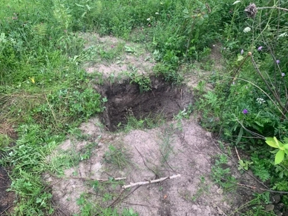 Фото: СУ СКР по Омской области