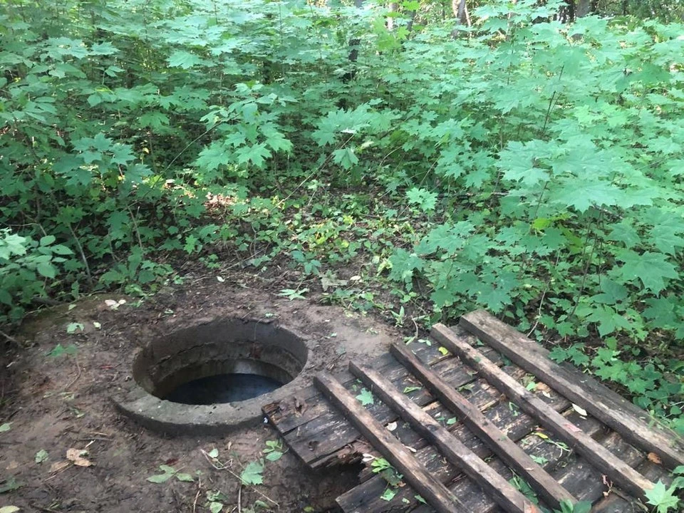 Во время поиска в парке у Каширского шоссе полицейские нашли тело мальчика, лежащего в коллекторе