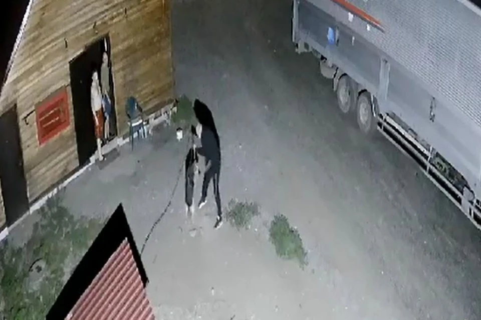В Новосибирском районе неизвестный жестоко избил собаку на глазах у двух мужчин. Фото: стоп-кадр из видео «АСТ-54»