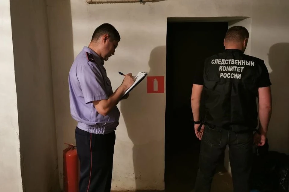 Все произошло днем 4 мая этого года на улице Тюльпанной СНТ «Дружба».