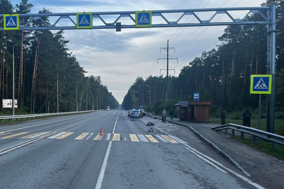 В Новосибирском районе произошло смертельное ДТП. Фото: ГОсавтоинспекция по НСО