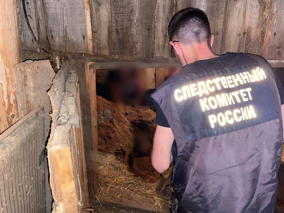 Обвиняемый закопал тело погибшего в надворной постройке своего дома. Фото: СУ СК России по Удмуртии