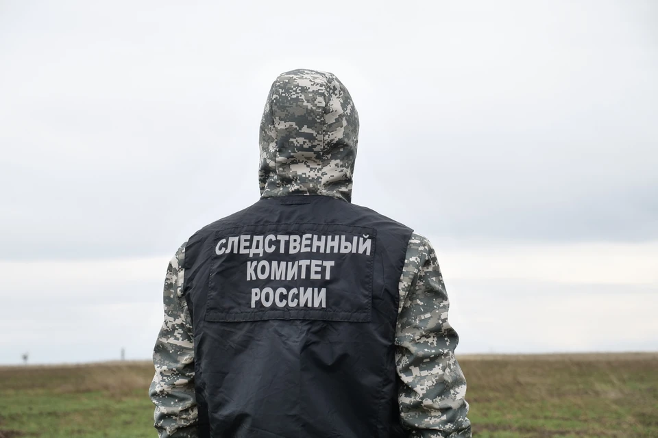 СК начал расследование.