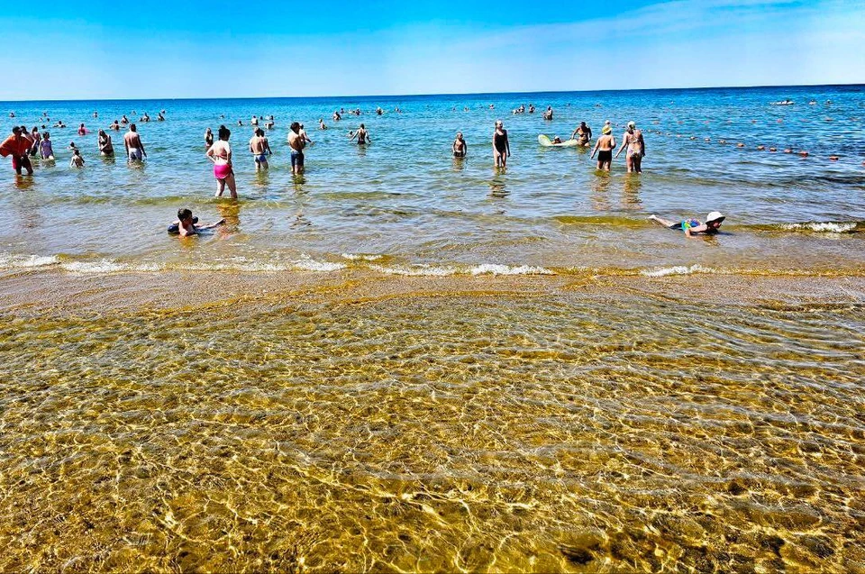 Какое море сейчас в анапе по чистоте. Пляж Джемете Анапа 2023. Цветение моря Витязево Анапа. Пляжи Геленджика 2023. Черное море Анапа Витязево.