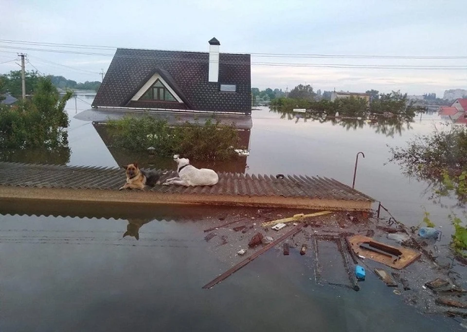 Вода остается стоять лишь в отдельных низких местах в Алешках, Голой Пристани и Коханах. Фото: телеграм-канал Евгения Кузьмина.