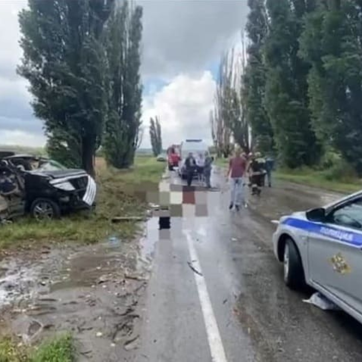 В Ростовской области минивэн врезался в дерево, погибли двое взрослых и  ребенок - KP.RU