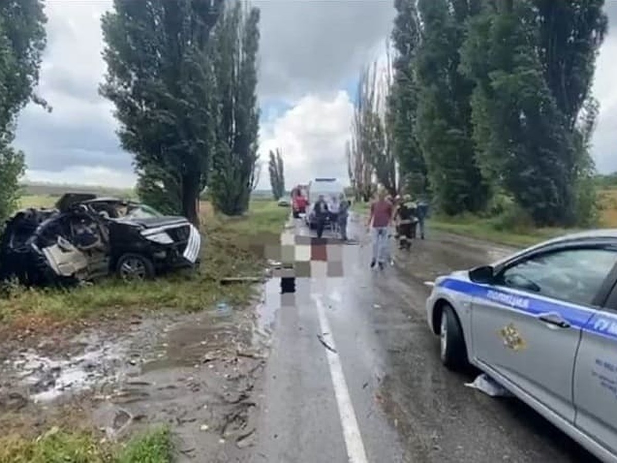 В Ростовской области минивэн врезался в дерево, погибли двое взрослых и  ребенок - KP.RU