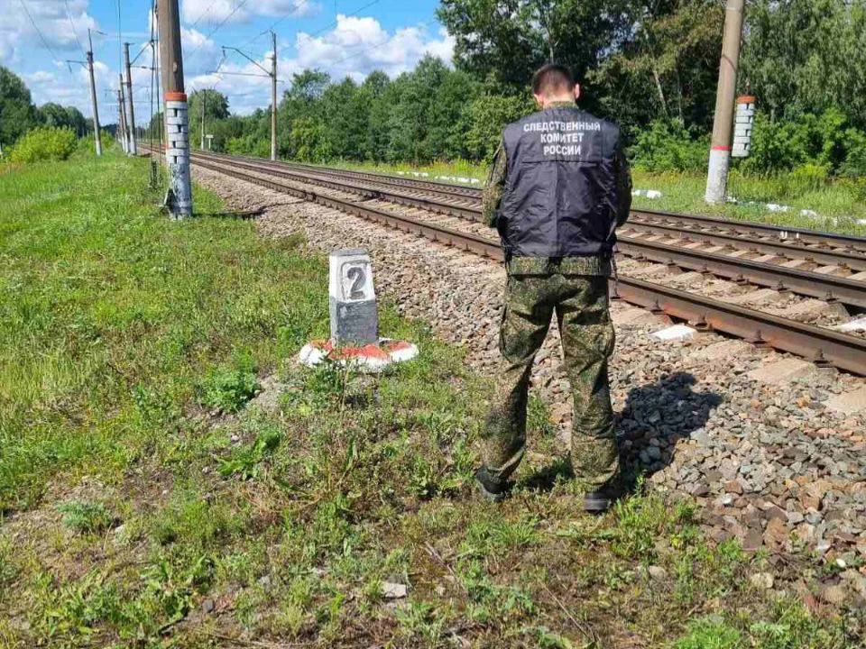 Мужчина погиб под колесами скоростного поезда «Ласточка» в Володарском районе. Фото: Центральное МСУТ СКР