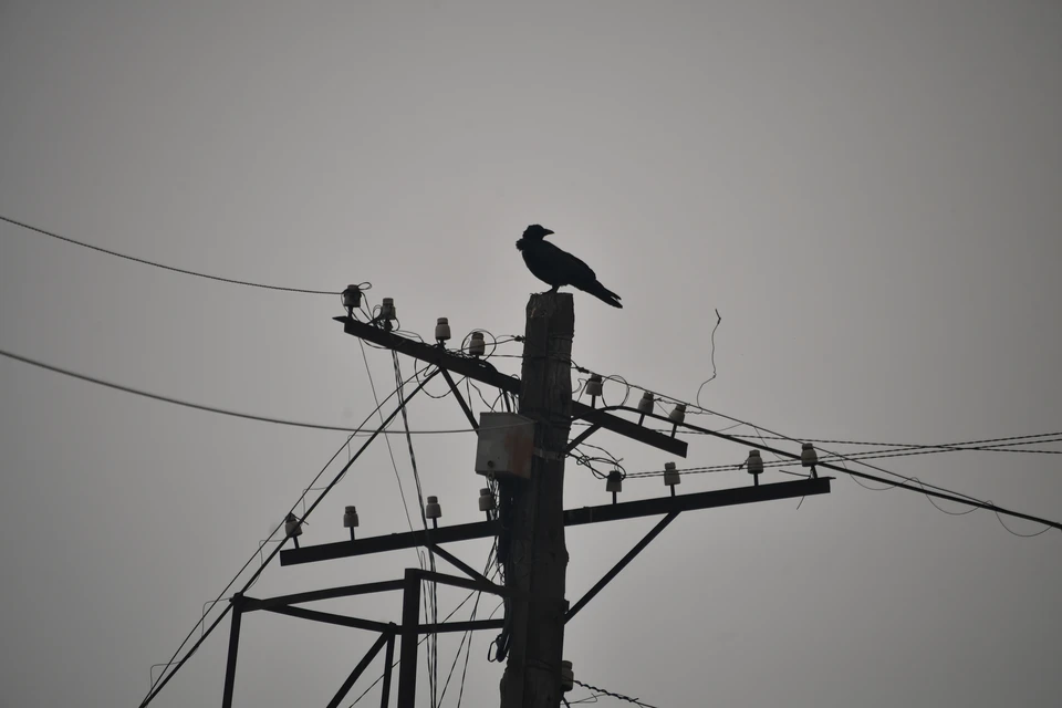 24 июля три района Волгограда останутся без света