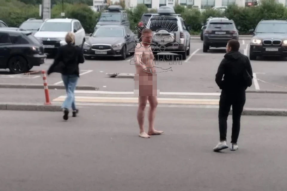 «КП»-Мурманск» обратилась за комментарием в пресс-службу УМВД региона. Фото: t.me/murmansk_chp