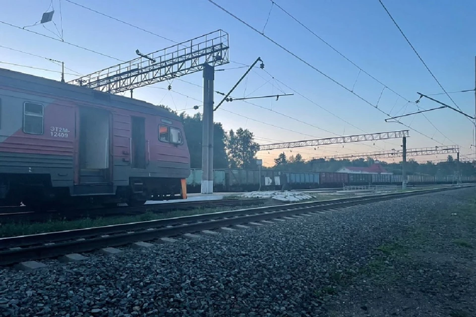 Пенсионерка не услышала приближающуюся электричку. Фото: УТ МВД СФО